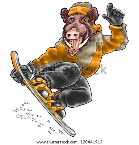 A wild boar snowboarding