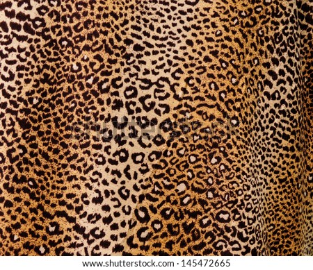 Leopard background Leopard background