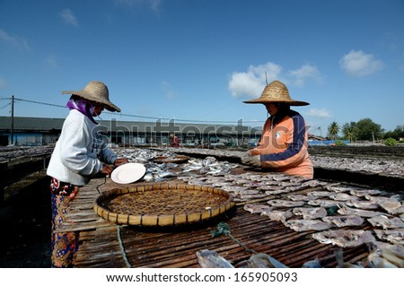 TUMPAT,KELANTAN, MALAYSIA - CIRCA 2012 : Workers dry salted fish under the sun during the daylight. This Processed normally took 2-3 days to completely dry the fish.