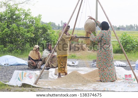 PENDANG, MALAYSIA - SEP 25 : Unidentified agricultural worker womans engaged in the winnowing job along the road side September 25, 2010 in Pendang, Kedah, Malaysia.