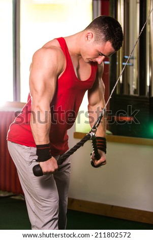 Triceps pull down workout
