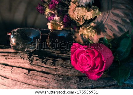Rose Flower  of still life