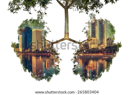 Double exposure with tree,green tree lungs of the city isolated on white