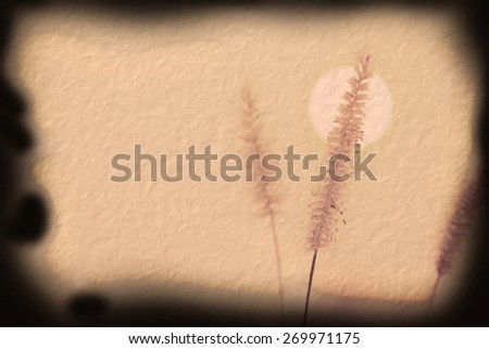 The flower of the grass with sun on paper burn