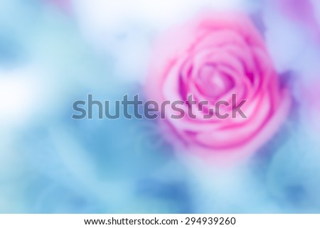 Blur of rose,vintage tone
