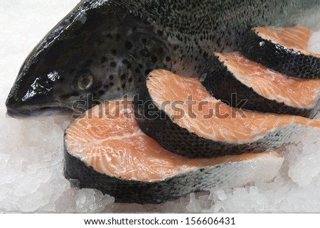 Freshly salmon fish and salmon stakes onto a ice. Diagonal view. See series.