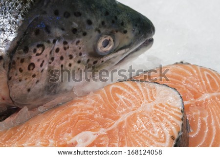Salmon fish and Raw Salmon Red Fish Steak