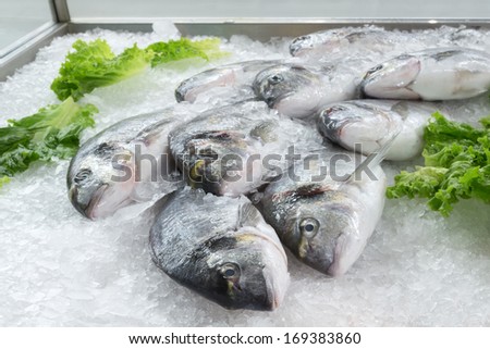 Bream fish on ice. frozen fish in shop window. fish in market.