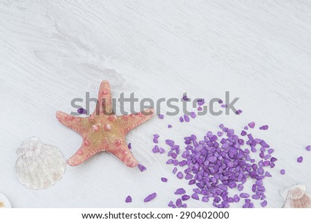 shells,l sea star and violet stones background. sea theme.