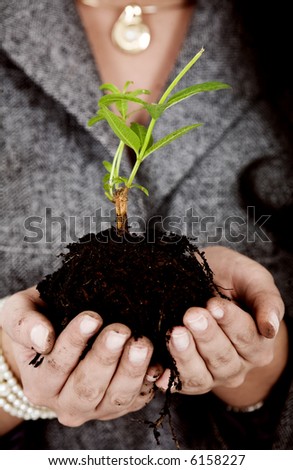 business woman holding a small plant in her hands - concept is growth