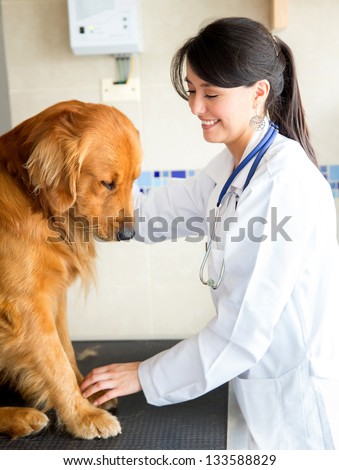 Female vet doctor checking a cute dog