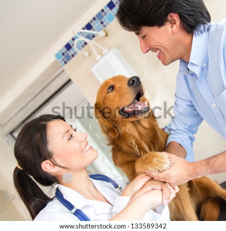 Cute dog at the vet giving his paw