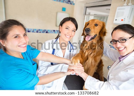 Teamwork at the vet with a group of doctors joining hands with a dog