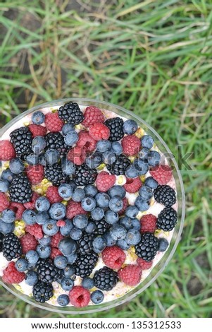 trifle  dessert with wild berries
