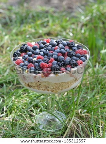 trifle  dessert with wild berries