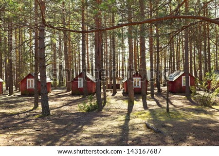small houses in summer forest small houses in summer forest