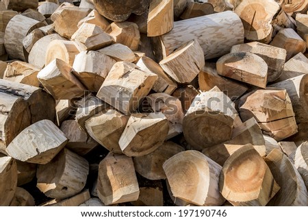 A pile of wood-hewn logs in the forest in summer day