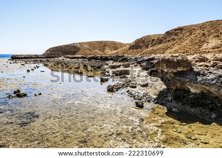 Sea Landscape of the National Park of Ras Mohammed in Sharm el Sheikh Egypt