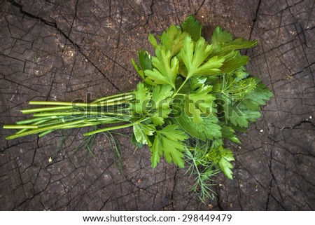 Bundle of parsley and dill on a wooden surface