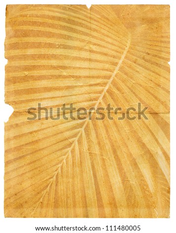 old crumpled paper with page torn textured palm leaf. Isolated on white background
