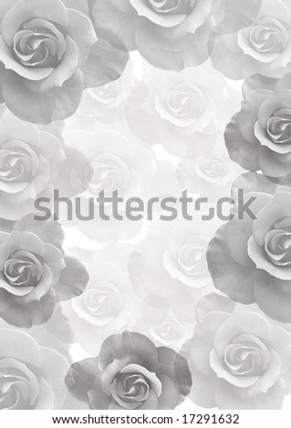 Gentle background with beautiful roses in black-and-white color.