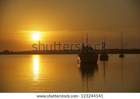 Fishing boats moored in still bay water during a warm sunset