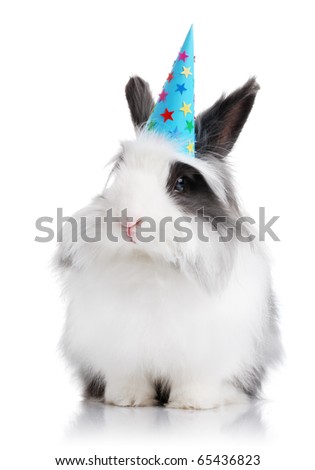 Black And White Rabbit Clipart. stock photo : Black and white