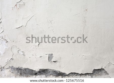 The Background From High Detailed Fragment Stone White Wall