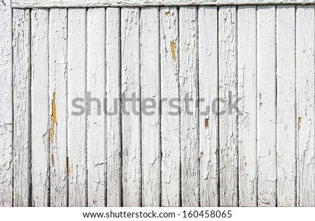 Vintage  white background wood wall, concept.  It is a conceptual or metaphor wall banner, grunge, material, aged, rust or construction