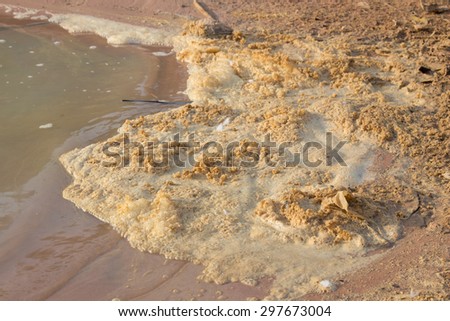 Polluted river water with dirty foam (water pollution)