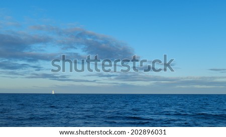 Beautiful white sailboat or yacht sailing under a blue sky across the wide open sea