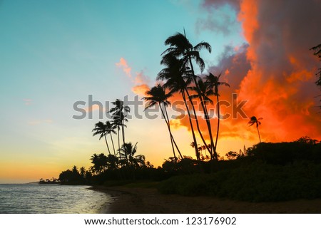 Colorful sunset with palm trees at Kawaikui Beach Park on Oahu, Hawaii