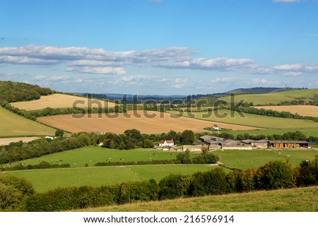 Farm Complex. Rolling English countryside with hedgerows and farm buildings. Cows can be seen grazing in the fields. Classic patchwork fields of differing colours.