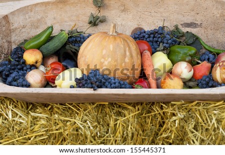 fruits and vegetables in the autumn