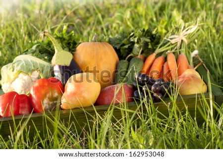 organic fruits and vegetables in the autumn