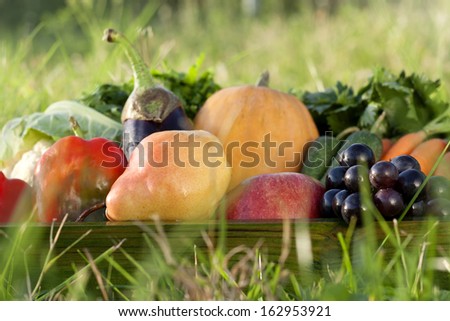 organic fruits and vegetables in autumn