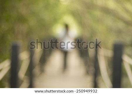 Walk way in jungle with Blur