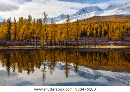 Golden autumn in Altai Russia, mountain Altai, Altai Republic, Kurai steppe, lake Lesnoye