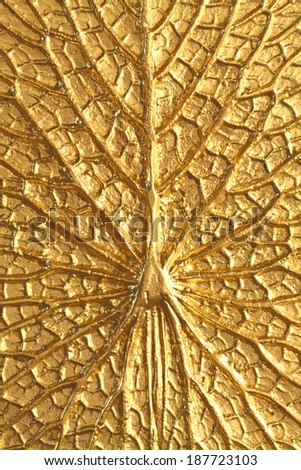 Golden lotus texture