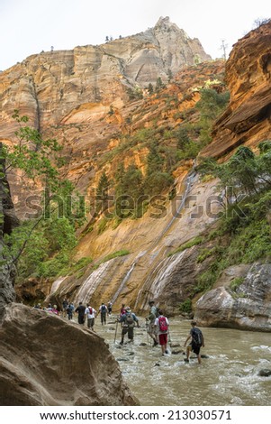 Zion National Park, Utah - July 30 2014: Tourists explore The North Fork of the Virgin River also called The Zion Narrows, one of the most scenic canyons to hike in Zion National Park