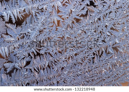 close-up of frost in winter