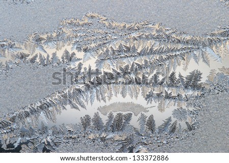 close-up of frost in winter