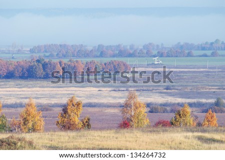 autumn landscape fields and trees on the background of blue sky