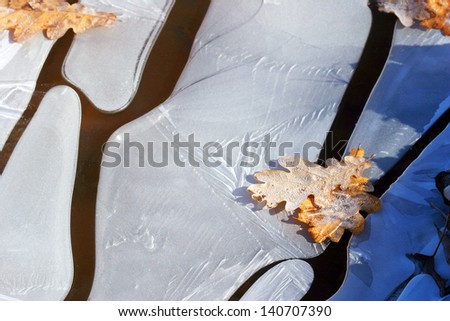 macro ice on the river bizarre and fallen leaves