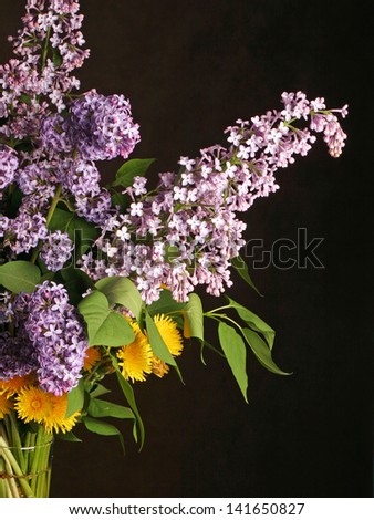 beautiful large bouquet of springtime lilacs in the studio shooting
