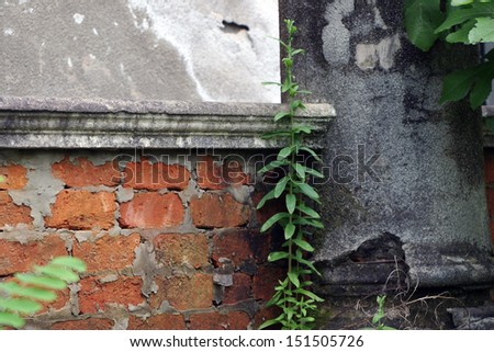 Part of an old crumbling building, foundation, column and plants