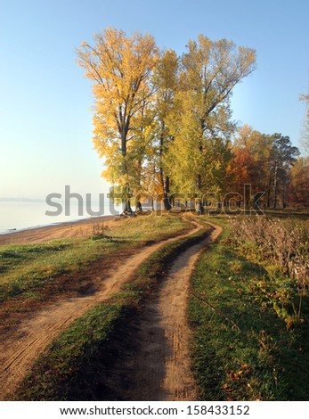 autumn landscape dirt road along the river bank near the forest