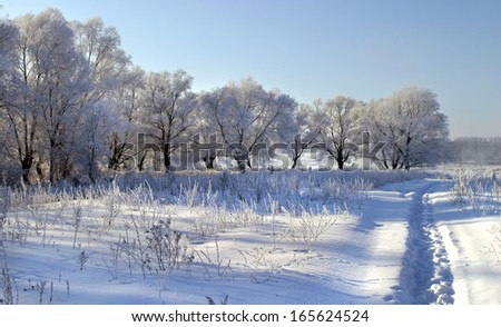 winter landscape of fields and trees covered with snow