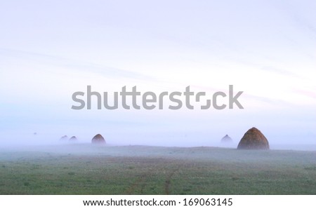 landscape of dense fog in the field at sunrise in late summer