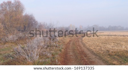autumn landscape of dry grass in the meadow near the woods covered with frost cold foggy morning